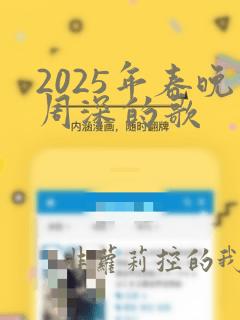 2025年春晚周深的歌