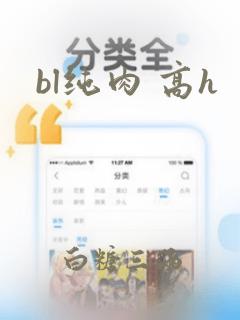 bl纯肉 高h