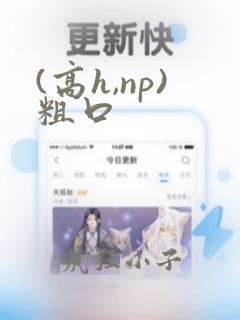 (高h,np)粗口