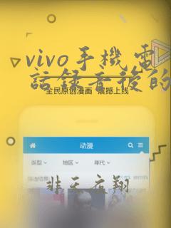 vivo手机电话录音后的文件在哪里