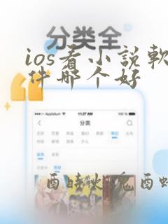 ios看小说软件哪个好