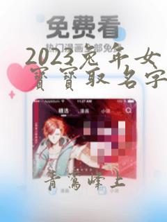 2023兔年女宝宝取名字