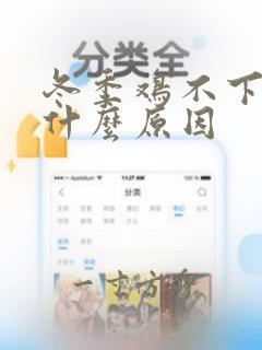 冬季鸡不下蛋是什么原因