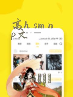 高h sm np文