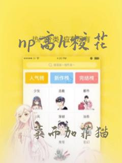 np高h校花