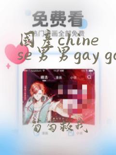 国产chinese男男gay gay网