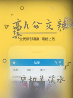 高h公交辣文合集