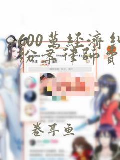 600万经济纠纷案律师费