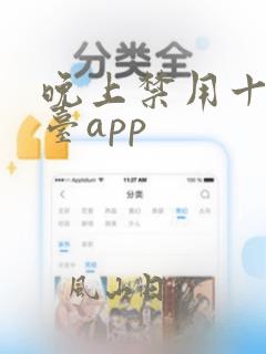 晚上禁用十大黄台app