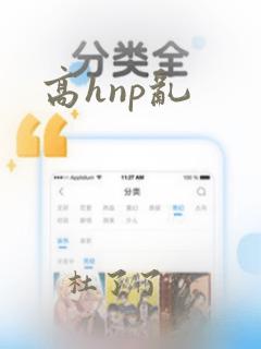 高hnp乱