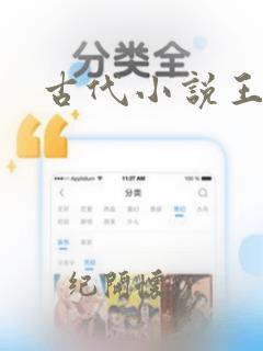 古代小说王爷h