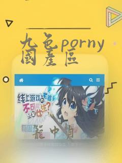 九色porny国产区