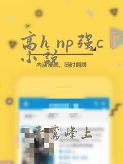 高h np强c小说