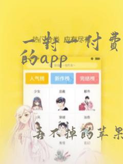 一对一付费视频的app