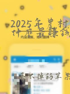 2025年农村什么最赚钱最快