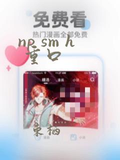 np sm h 重口