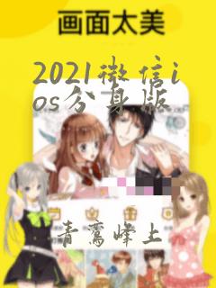 2021微信ios分身版