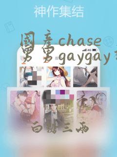 国产chase男男gaygay视频网