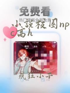 小说校园np全c高h