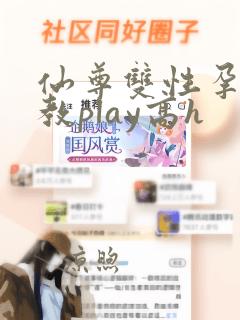 仙尊双性孕夫调教play高h