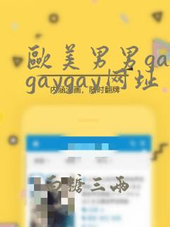 欧美男男gaygaygay网址