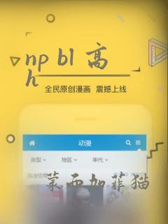 np bl 高h