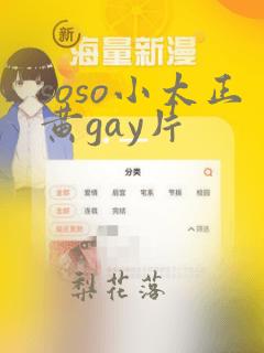 soso小太正黄gay片