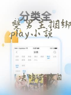 双男主捆绑玩具play小说