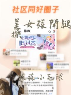 美女张开腿让人操