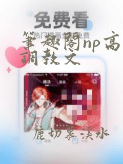 笔趣阁np高h调教文