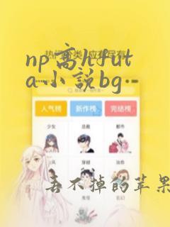 np高hfuta小说bg