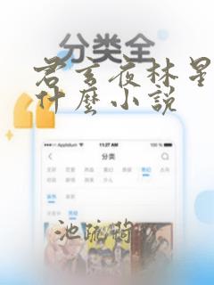 君玄夜林星瑶是什么小说