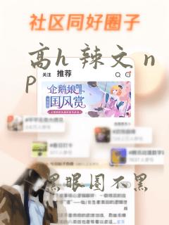 高h 辣文 np