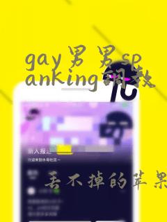 gay男男spanking调教