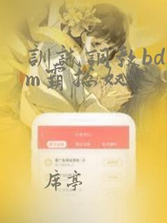 训诫调教bdsm霸总奴