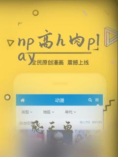 np高h肉play