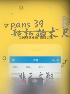 pans 39部私拍大尺度模特内部