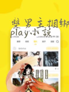 双男主捆绑调教play小说