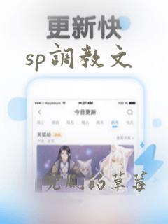 sp调教文