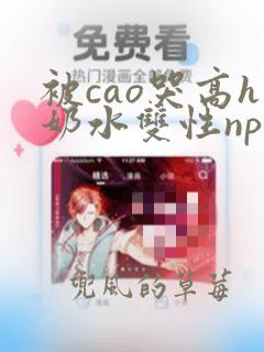 被cao哭高h奶水双性np