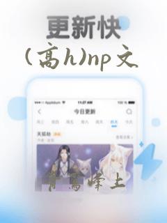 (高h)np文