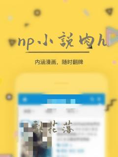 np小说肉h