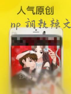 np 调教辣文