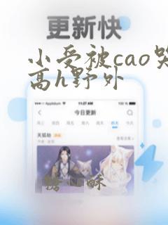 小受被cao哭高h野外