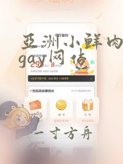 亚洲小鲜肉男男gay网站