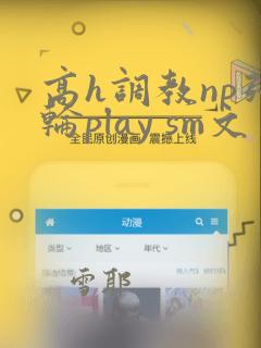 高h调教np强轮play sm文