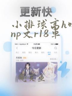 小排球高h啪肉np文r18车