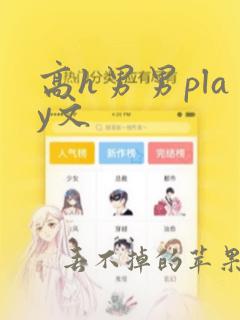 高h男男play文