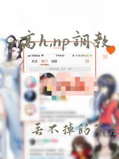 高h,np调教