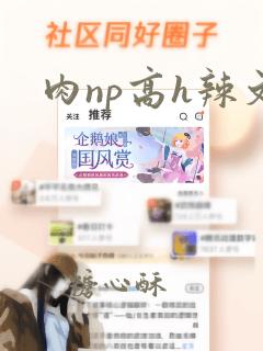 肉np高h辣文